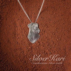 Silver Kari´s silverpack
