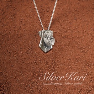 Silver Kari´s silverpack